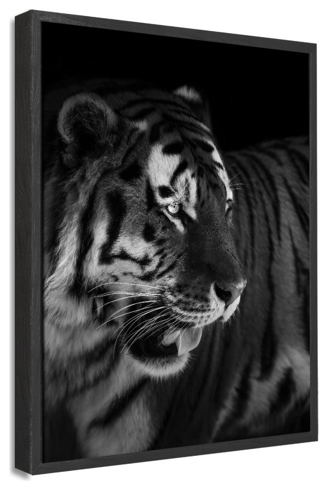 The King' Framed Print Wall Art by Alex Zhao