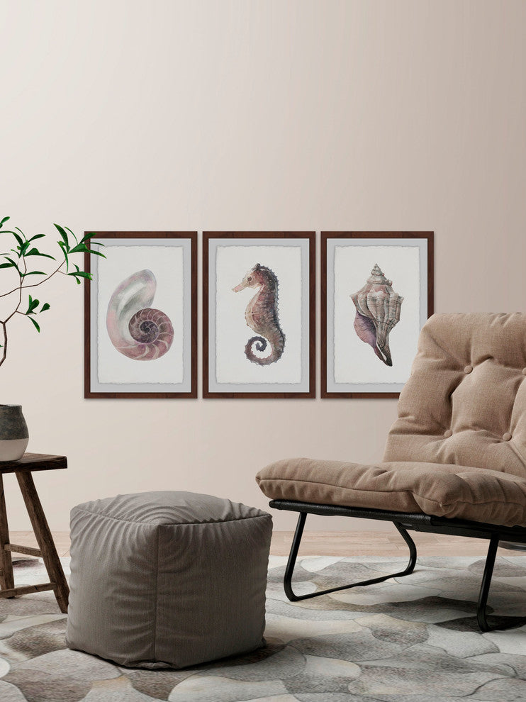 "Sea Stuff Triptych" Framed Painting Prints, 36"x18", 3-Piece Set