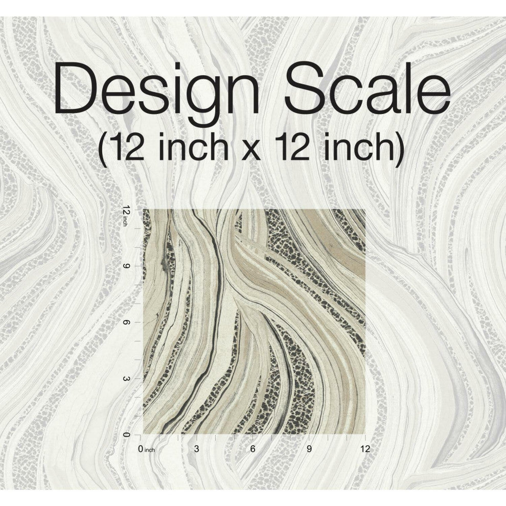 Streaming Cheetah Wallpaper