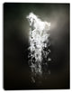 Fantasy White Horse Running, Animal Canvas Wall Art, 30"x40"