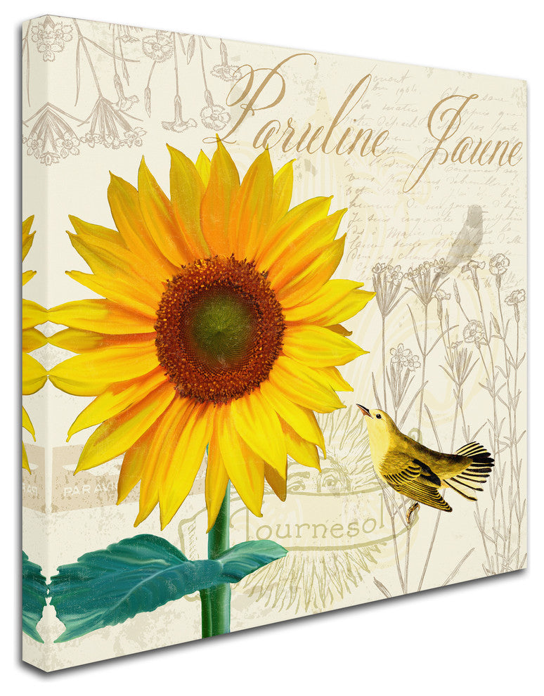 Tina Lavoie 'Natural History Sketchbook IV' Canvas Art, 14" x 14"