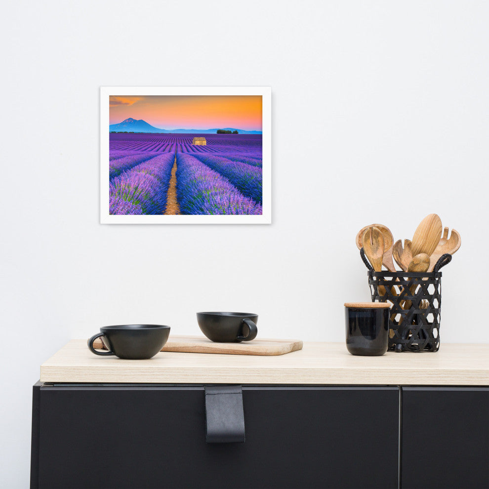 Blooming Lavender Field and Sunset Floral Landscape Framed Photo Wall Art Prints, White, 11" X 14"