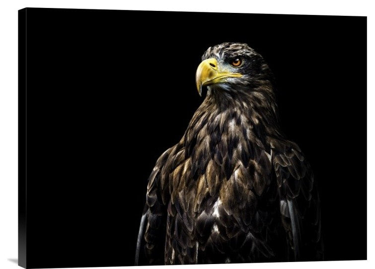 "Ego" Stretched Canvas Giclee by Christian Lechtenfeld, 24"x18"