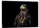 "Ego" Stretched Canvas Giclee by Christian Lechtenfeld, 24"x18"