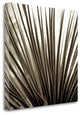 "Florison - 48" By Alan Blaustein, Giclee Print on Gallery Wrap Canvas