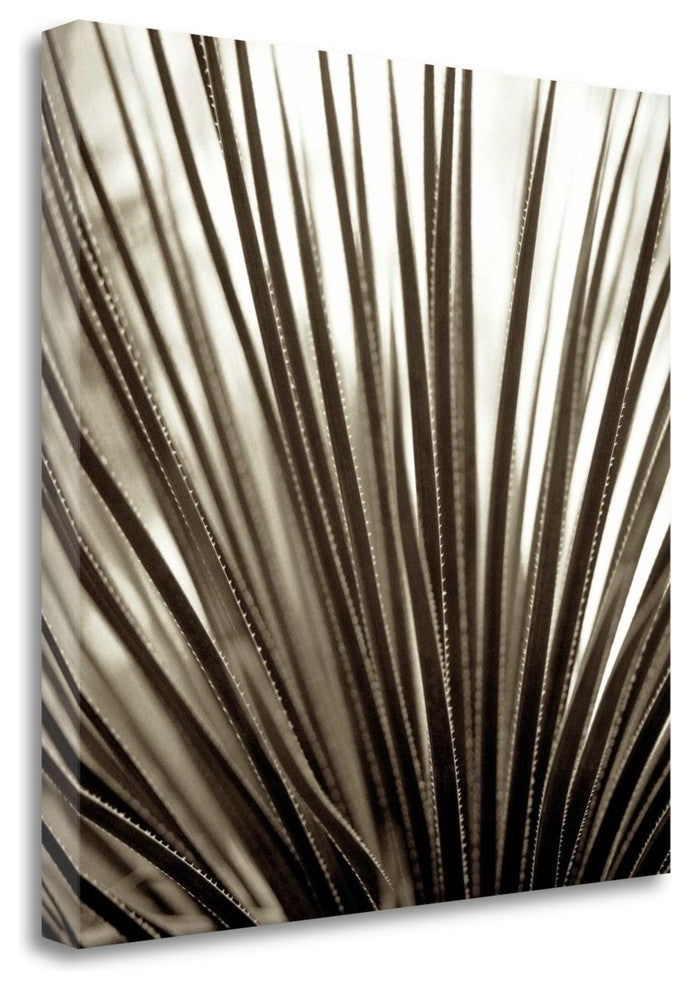 "Florison - 48" By Alan Blaustein, Giclee Print on Gallery Wrap Canvas