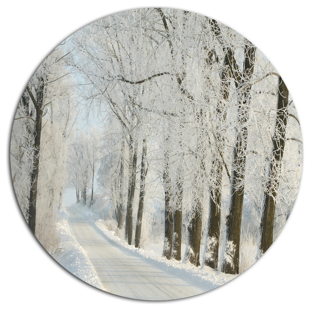 Winter Rural Road Among Frosted Trees, Forest Disc Metal Artwork, 23"