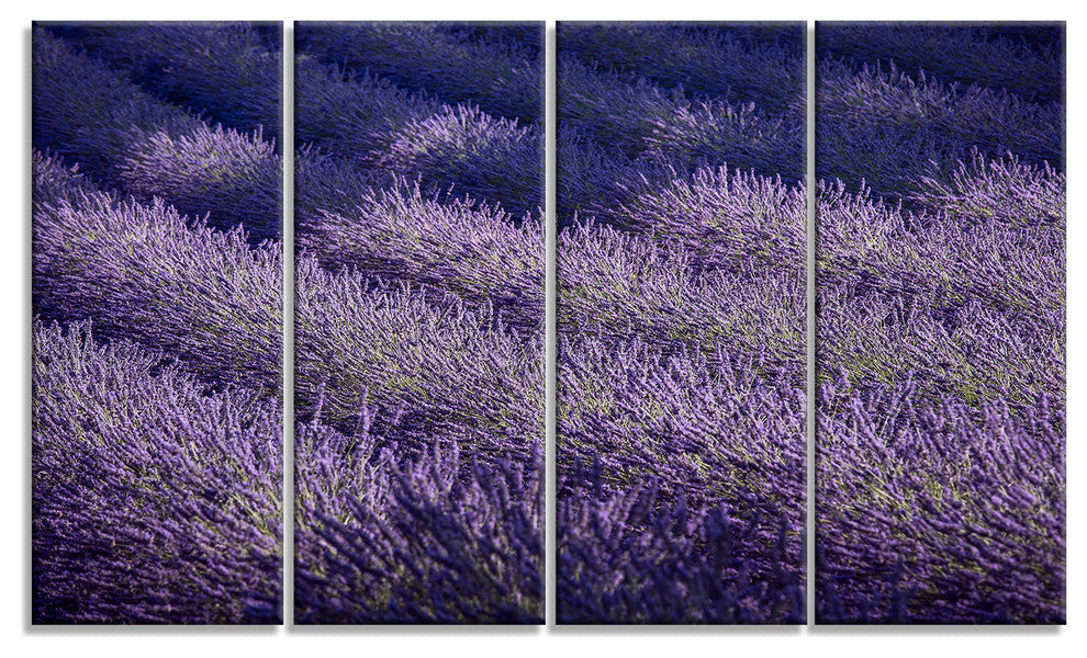 "Lavender Field and Ray of Light" Landscape Wall Art Print, 4 Panels, 48"x28"
