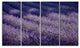"Lavender Field and Ray of Light" Landscape Wall Art Print, 4 Panels, 48"x28"