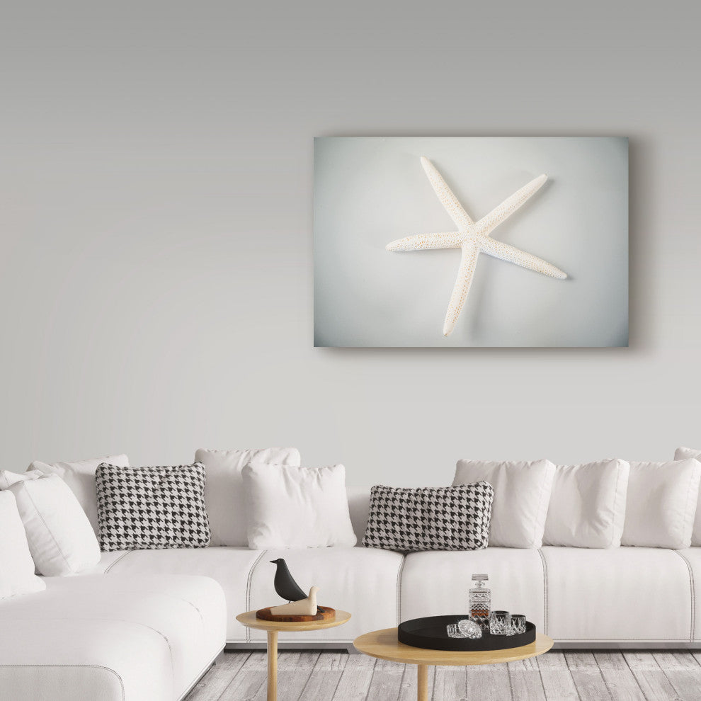 "White Starfish" by Lightboxjournal, Canvas Art, 22"x32"