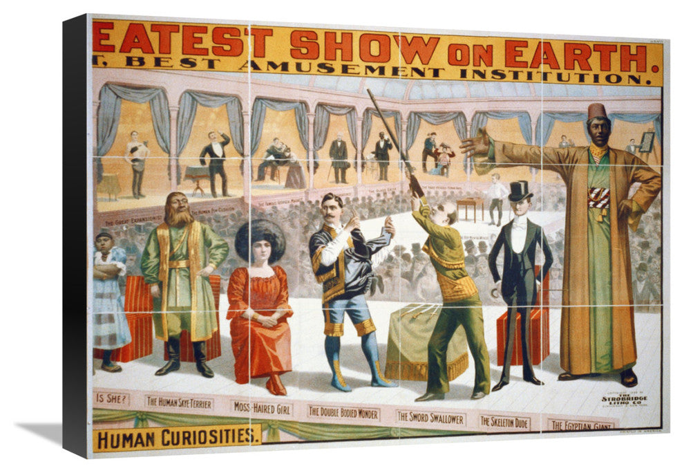 Marvelous Living Human Curiosities 2, 1899, 22x16