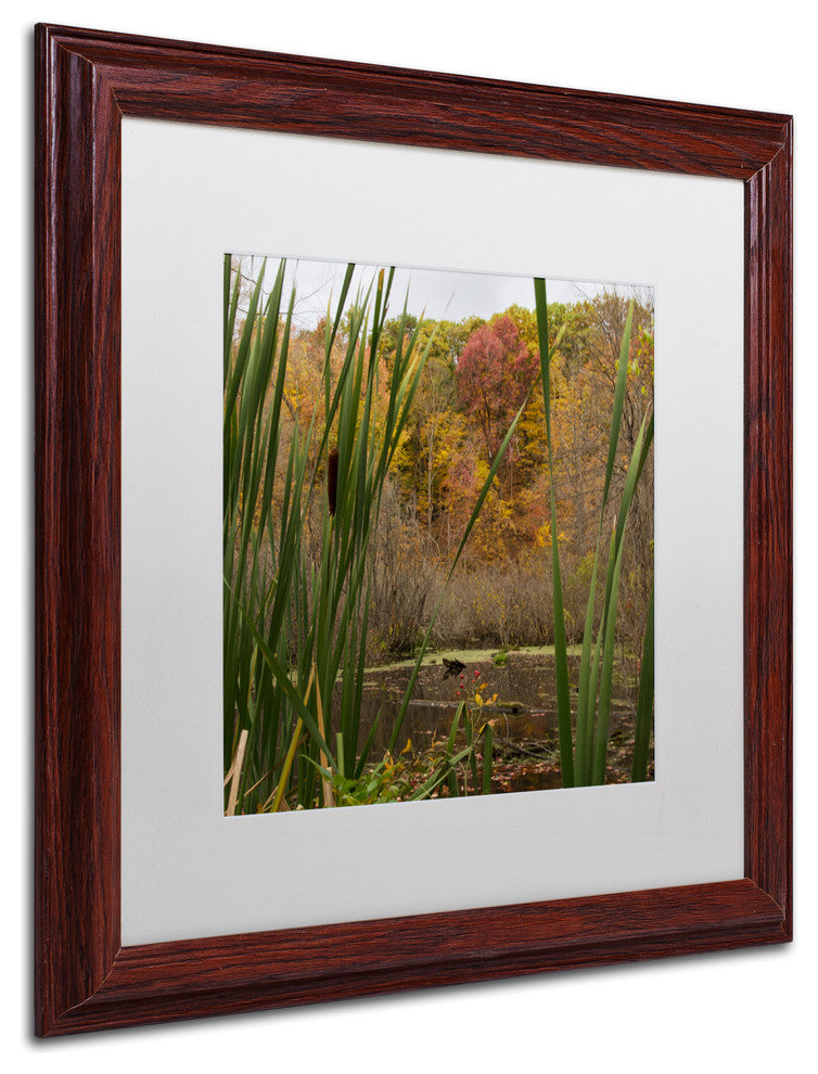 ''Autumn Marsh'' Matted Framed Canvas Art by Kurt Shaffer