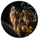 Falcon With Open Beak, Animal Disc Metal Artwork, 36"
