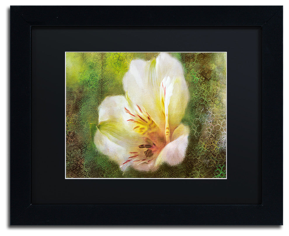 Lois Bryan 'Lily of the Incas' Art, Black Frame, Black Matte, 14"x11"