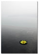 ''Zen'' Canvas Art by Kurt Shaffer