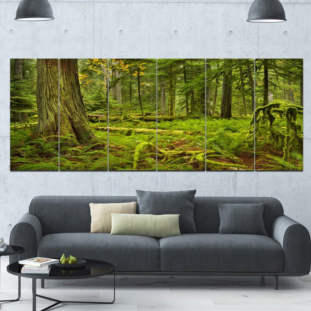 Lush Rainforest in Cathedral Grove, Landscape Canvas Print, 70"x28", 6 Panels