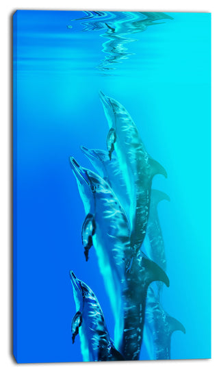 "Dolphin in Blue Sea" Canvas Print, 20"x40"
