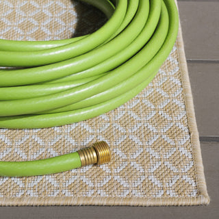 Safavieh Terrace Collection TER804 Rug, Beige/Ivory, 8'x10'