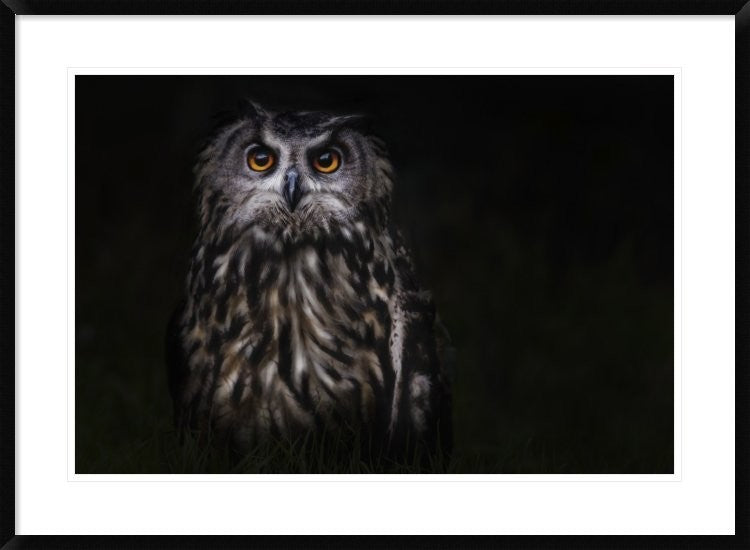 "Prince Of The Night" Framed Digital Print by Martine Benezech, 38"x28"