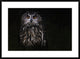 "Prince Of The Night" Framed Digital Print by Martine Benezech, 38"x28"