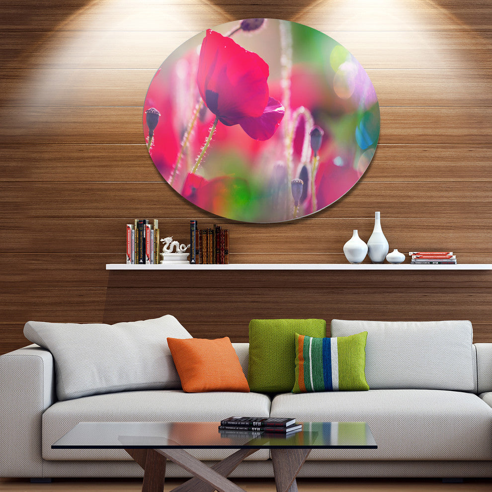 Close-Up View Of Red Poppy Flowers, Modern Flower Round Wall Art, 36"