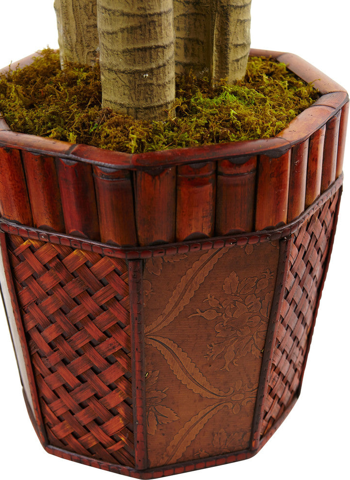 54"H Cornstalk Dracaena, Wooden Planter