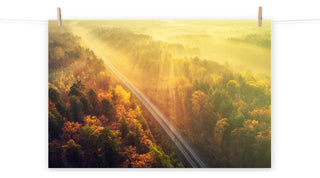 Sunrise Railroad Though Misty Forest Landscape Photo Loose Wall Art Prints, 12" X 16"