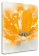 "Wild Orange Sherbet I" By J.P. Prior, Giclee Print on Gallery Wrap Canvas