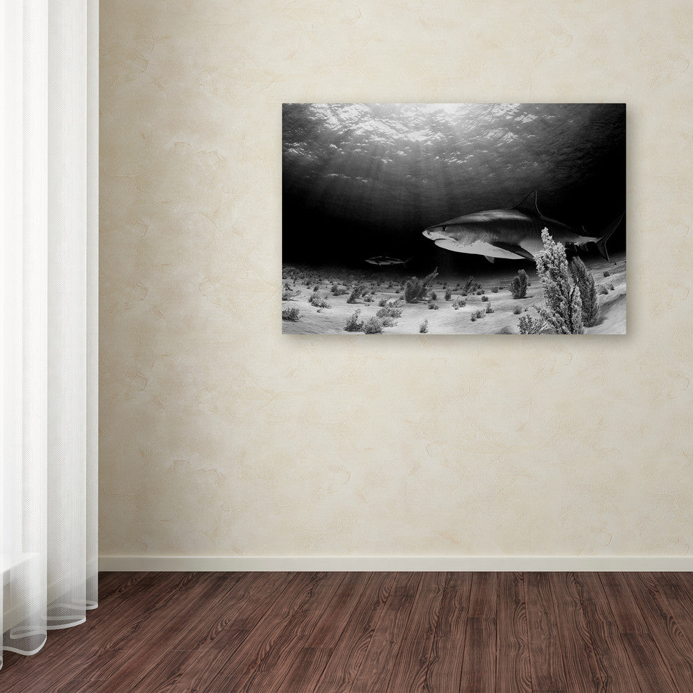 Ken Kiefer 'Dark Tiger' Canvas Art, 24 x 16