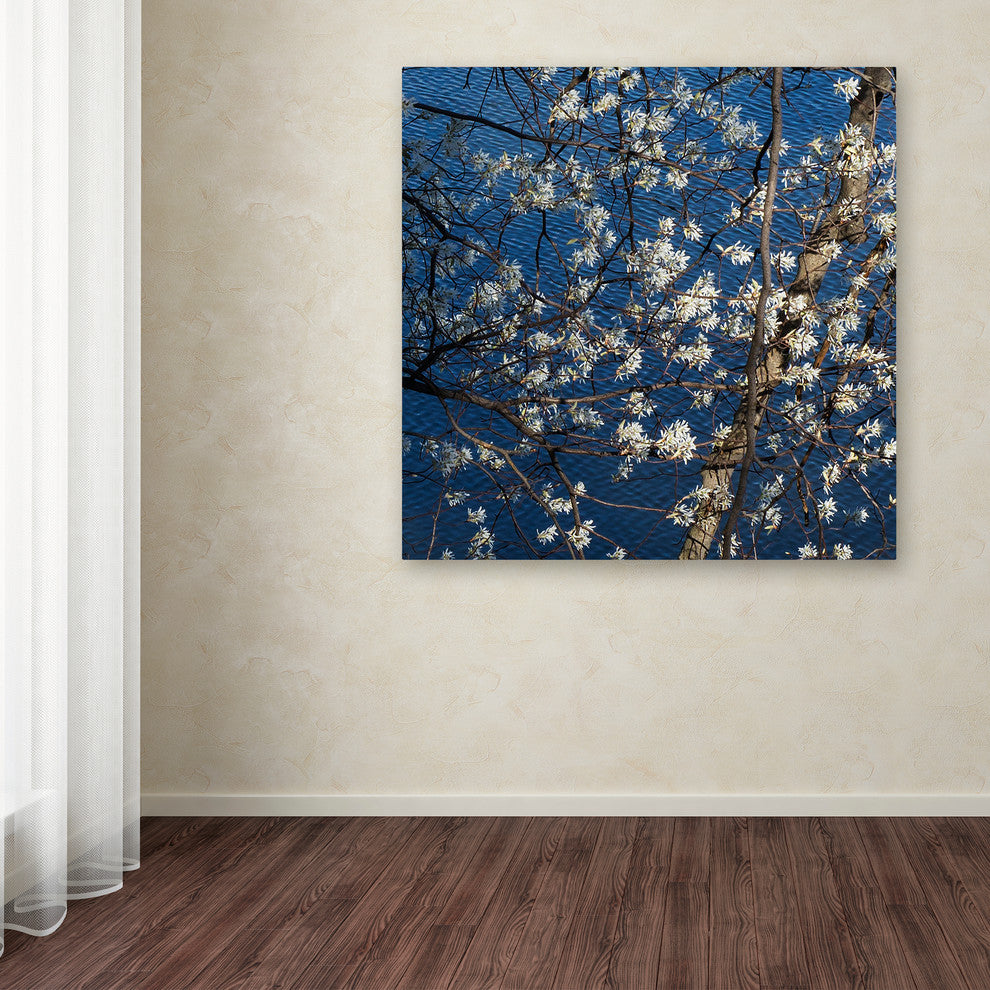 Kurt Shaffer 'Springtime at the Lake' Canvas Art