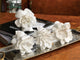 "Cameo" Porcelain Vase (Set of 4)