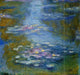 Manuel Wssel De Giumbarda WaterLilies Premium Canvas Print