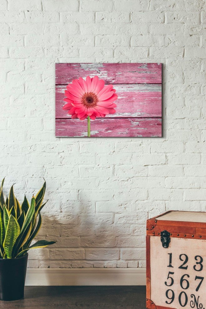 Epic Graffiti "Pink Beginnings" Giclee Canvas Wall Art, 26"x18"