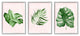 Boho Palm Leaves over Pink Modern Tropical Plants,3pc, each 24 x 30