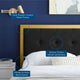 Tufted Headboard, King Size, Velvet, Metal, Gold Black, Modern Contemporary
