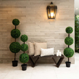 Lifestyle environment showing multiple topiaries; real-world context