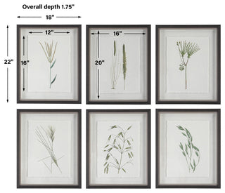 Uttermost Forest Finds Framed Prints, Set of 6