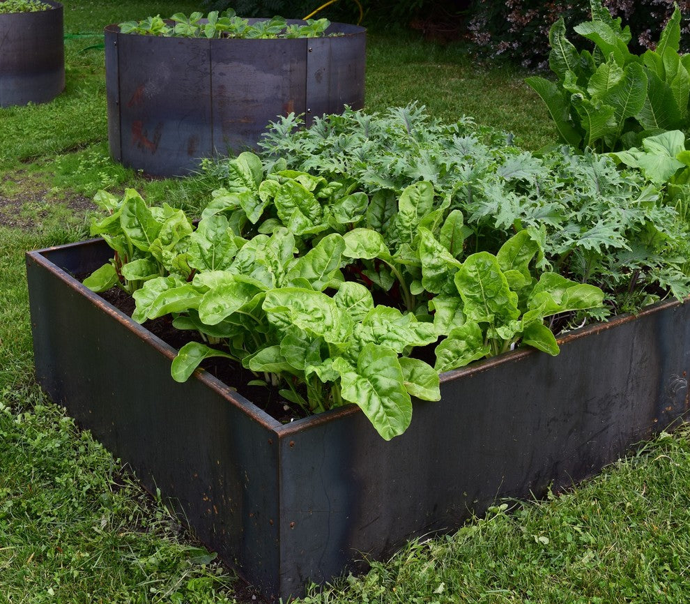 Nice Corten Steel Planter Bed 48", Steel, 48"x96"x16"h