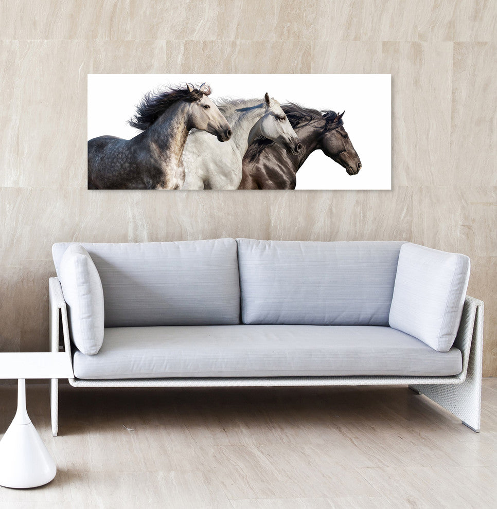 Horse Glass Wall Art Frameless Free Floating Tempered Glass Print, 24" x 63"