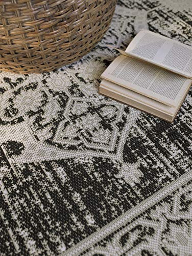 Outdoor Persian Accent Rug - Bacteria Resistant Rug, Black, 5'3"x7'6"