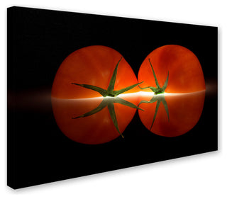 Wieteke De Kogel 'Tomatoes' Canvas Art, 19 x 12