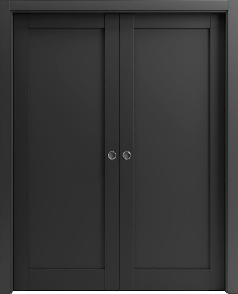 French Double Pocket Doors 48 x84 Frames|Quadro 4111 BlackSturdy Door