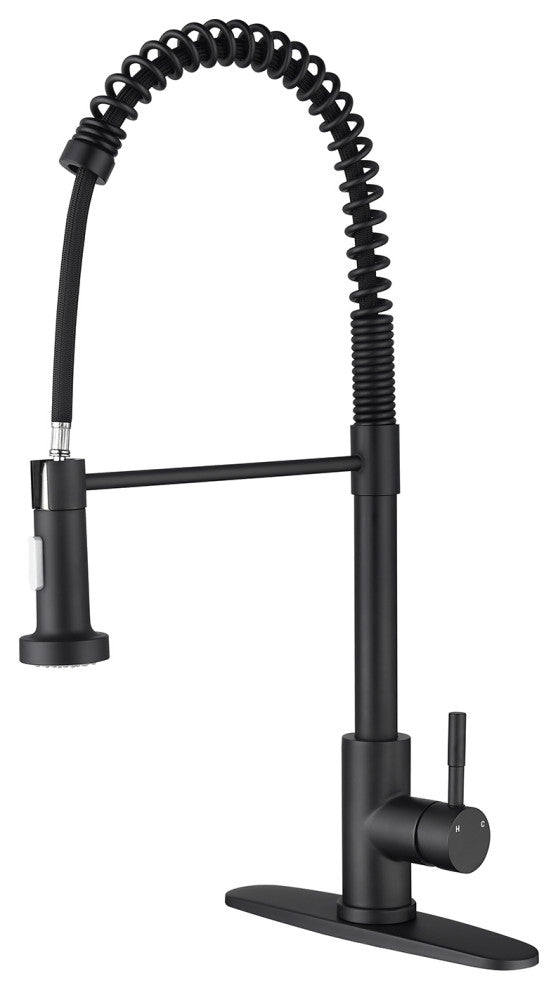 Wellfor Single Handle Kitchen Sink Faucet With Pull Down Sprayer