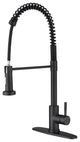 Wellfor Single Handle Kitchen Sink Faucet With Pull Down Sprayer