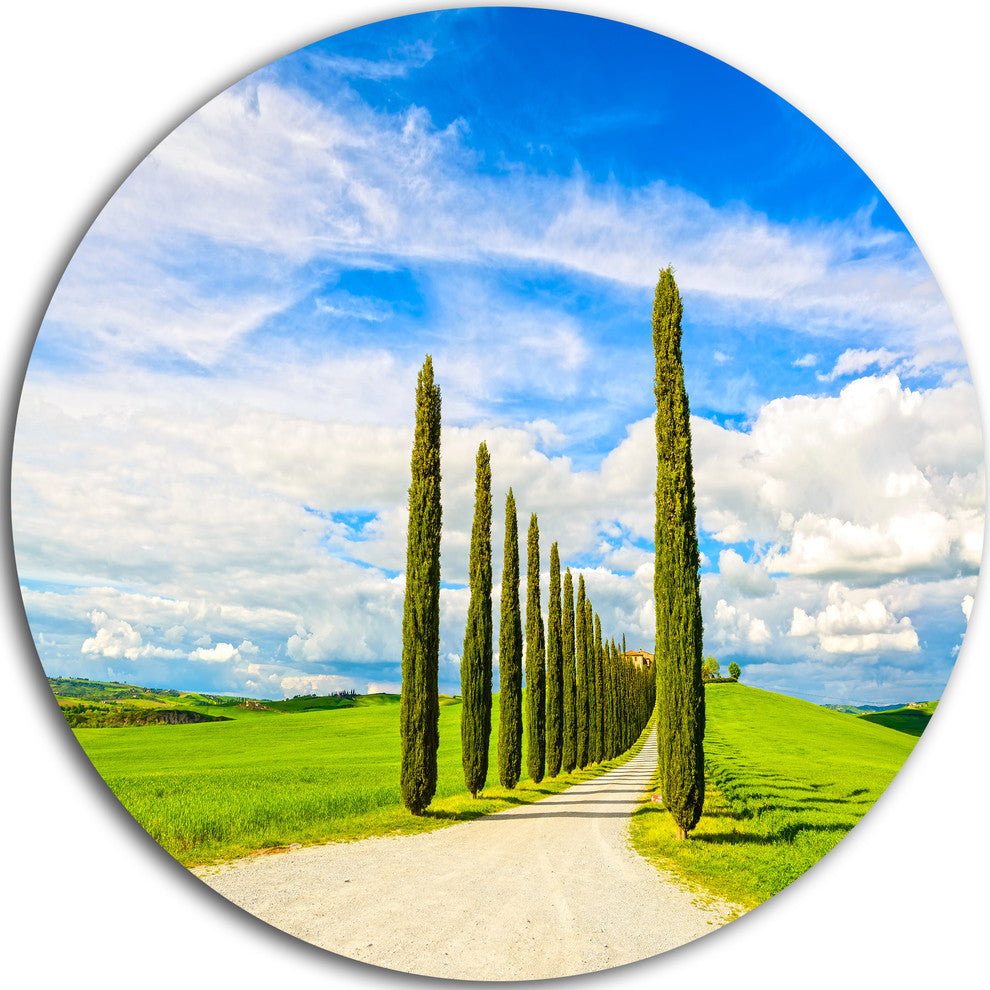 White Road Through Cypress Trees, Landscape Round Metal Wall Art, 11"