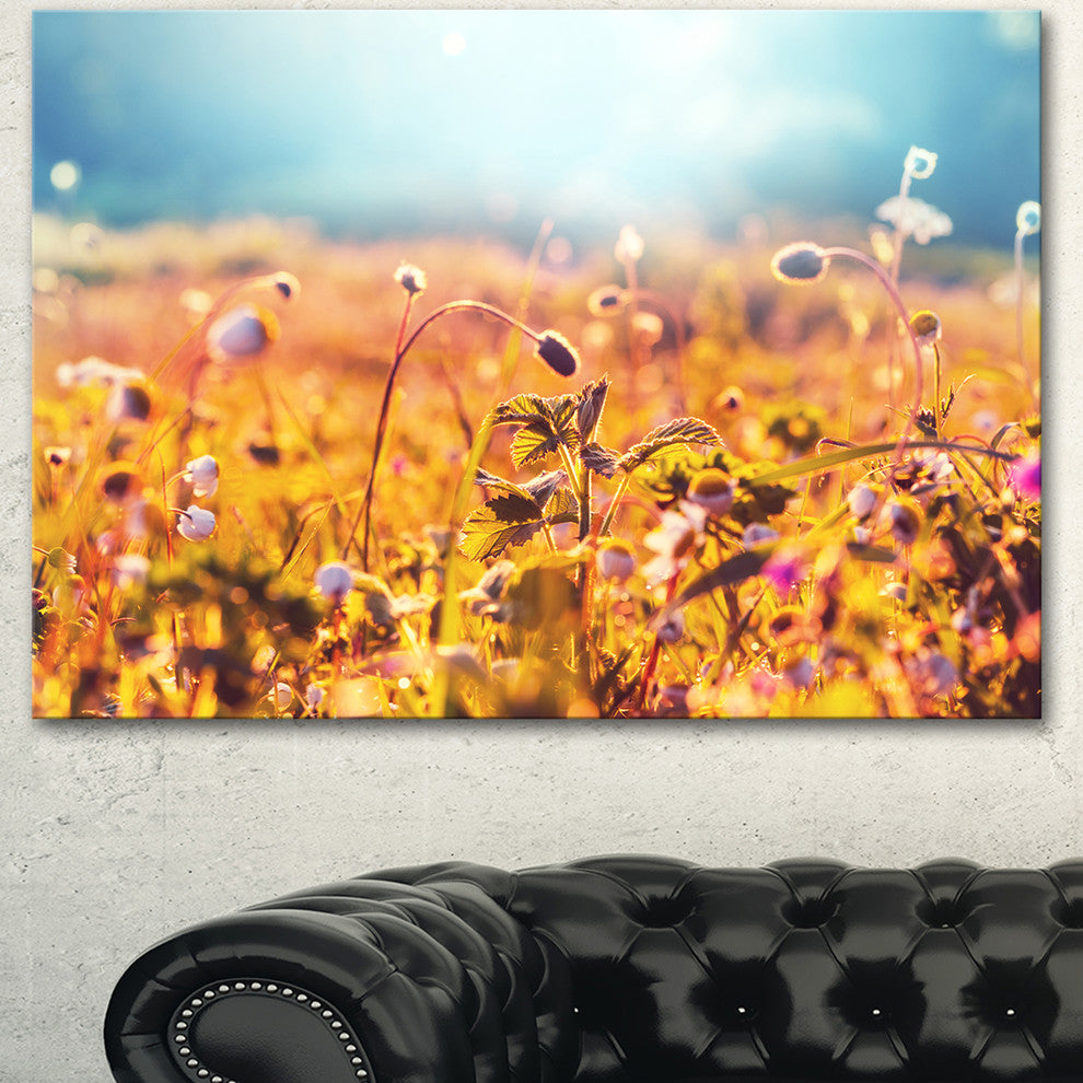 Summer Field with Beautiful Flowers, Floral Canvas Art Print, 40"x30"