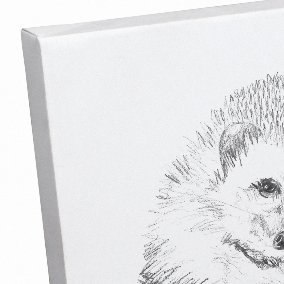 Cute Hedgehog 11x14 Canvas Wall Art