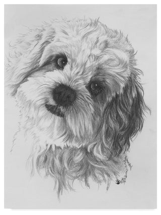 "Cavachon" by Barbara Keith, Canvas Art