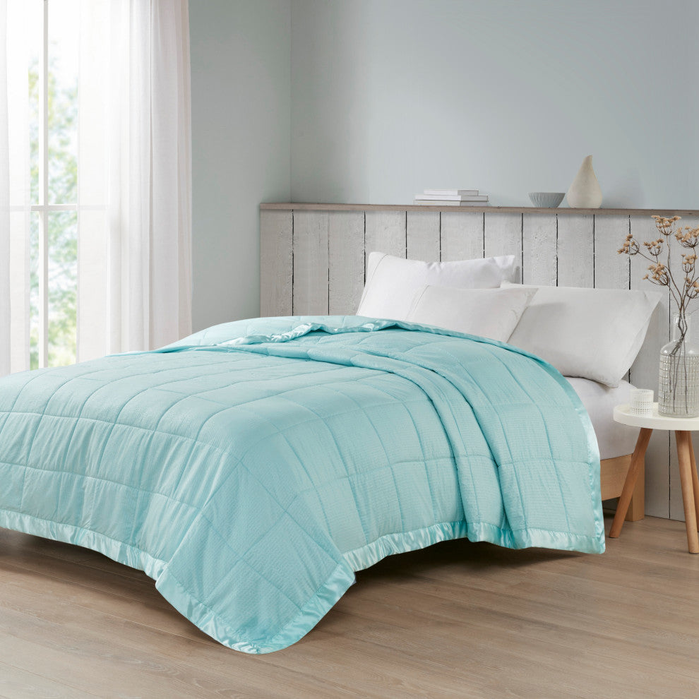 Madison Park Solid Embossed Microfiber Premium Oversized Blanket, Twin