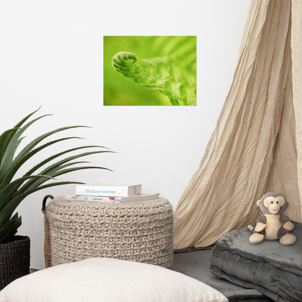 Fern Curl Nature Photography, Botanical Unframed Wall Art Print, 12" X 16"